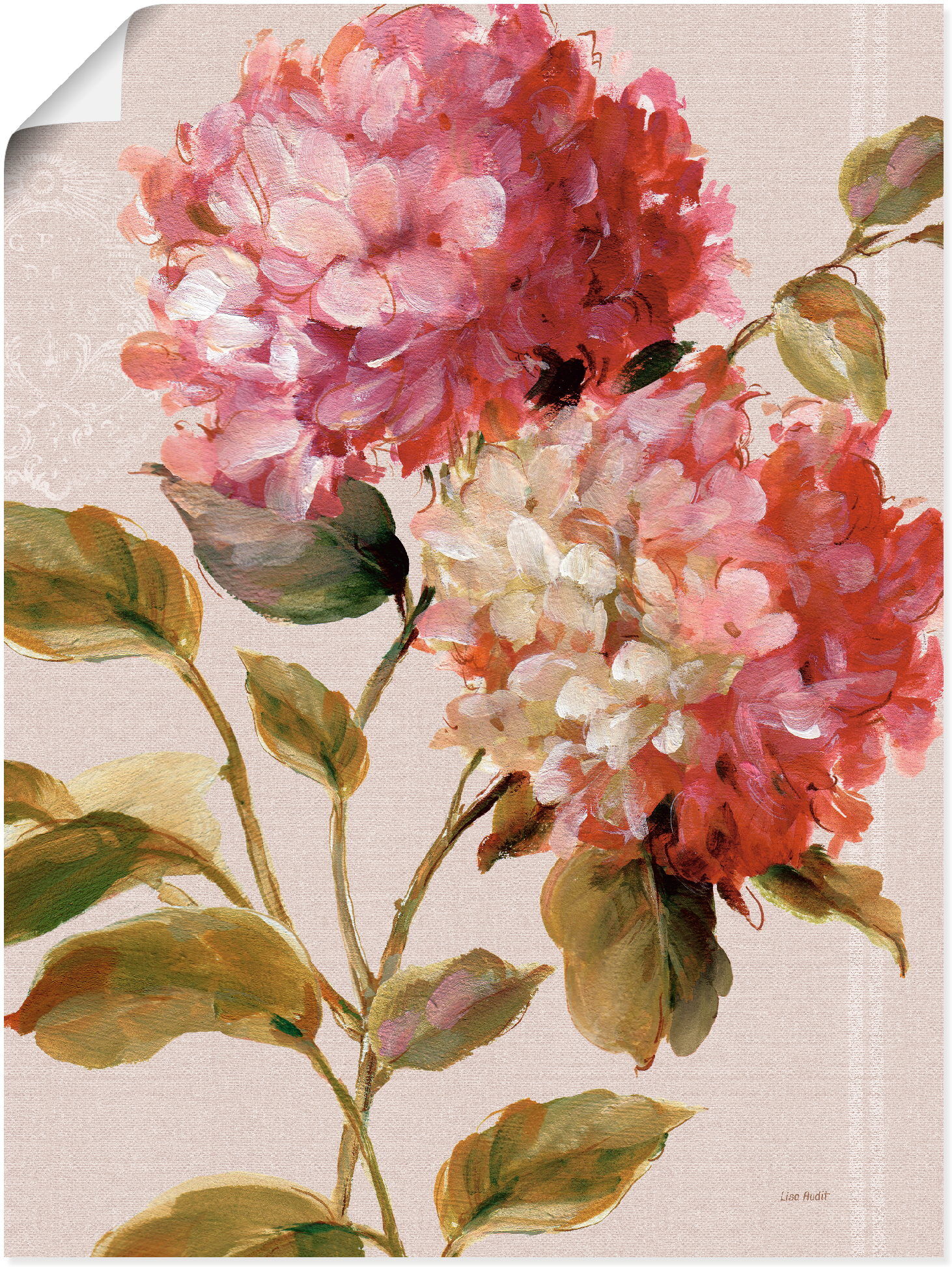 Wandbild ARTLAND "Harmonische Hortensien", pink (farbe bild(er): pink), B:30cm H:40cm, Bilder, Wandbild, als Leinwandbild, Poster in verschied. Grössen farbe bild(er): pink B/H/T: 30cm x 40cm, Poster Blumen Hochformat, 1 Stk.