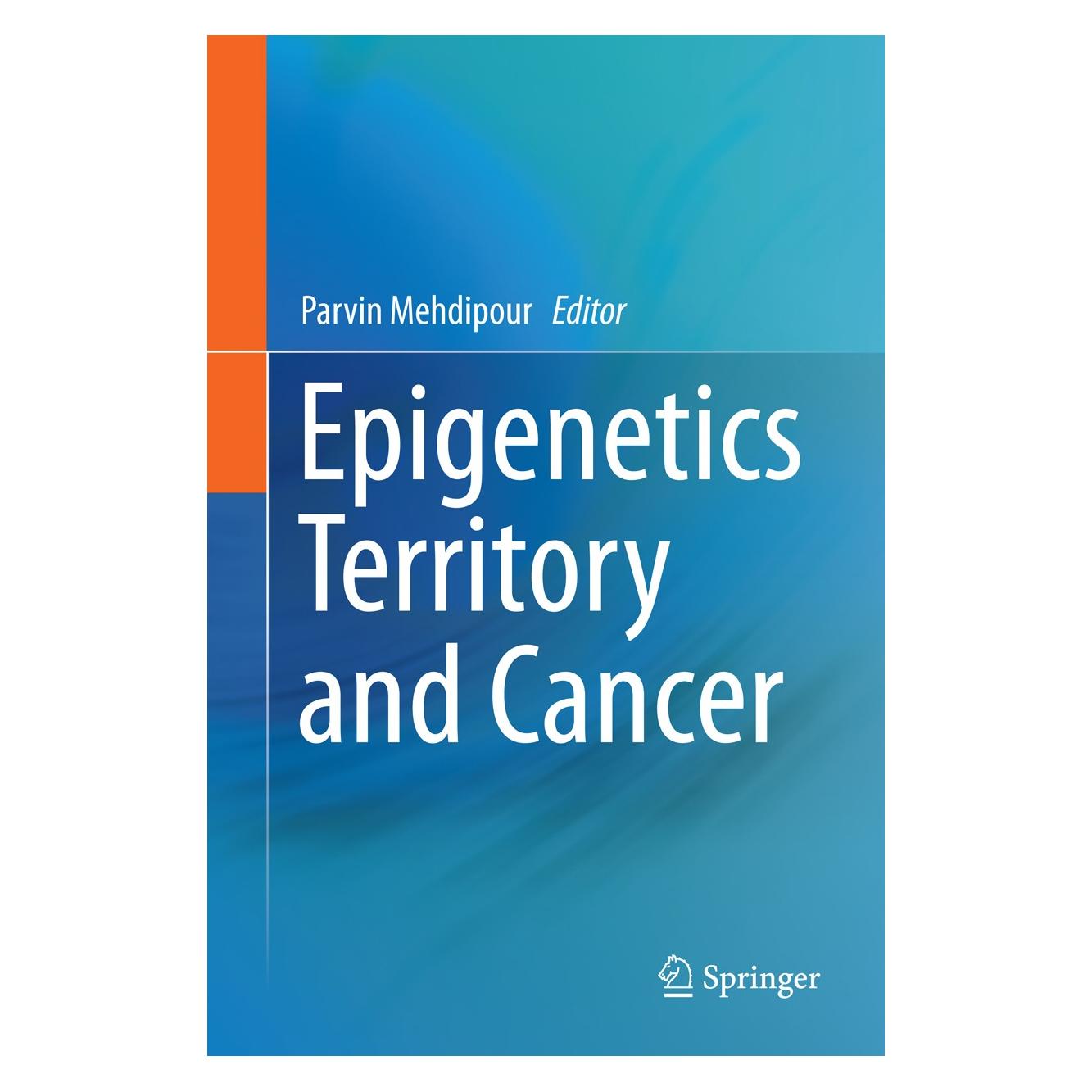 Springer Epigenetics Territory and Cancer (Englisch, Hardcover, Parvin Mehdipour) (9789401796385)