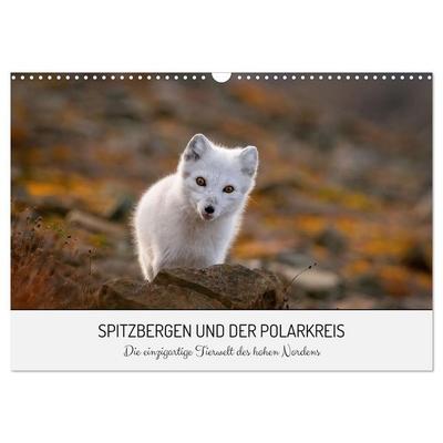 Spitzbergen und der Polarkreis (Wandkalender 2026 DIN A3 quer), CALVENDO Monatskalender