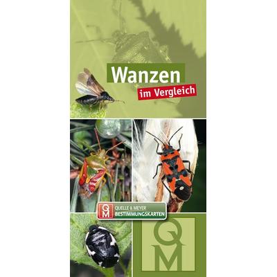 Wanzen, Sonstige von , Quelle & Meyer, 978-3-494-01865-2