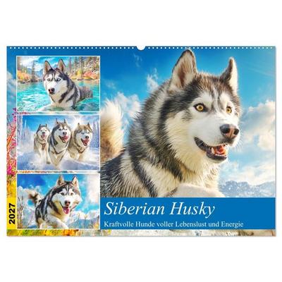 Siberian Husky. Kraftvolle Hunde voller Lebenslust und Energie (Wandkalender 2027 DIN A2 quer), CALVENDO Monatskalender