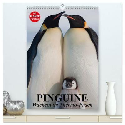 Pinguine. Wackeln im Thermo-Frack (hochwertiger Premium Wandkalender 2027 DIN A2 hoch), Kunstdruck in Hochglanz