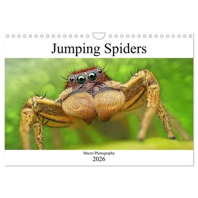 Jumping Spiders (Wall Calendar 2026 DIN A4 landscape), CALVENDO 12 Month Wall Calendar