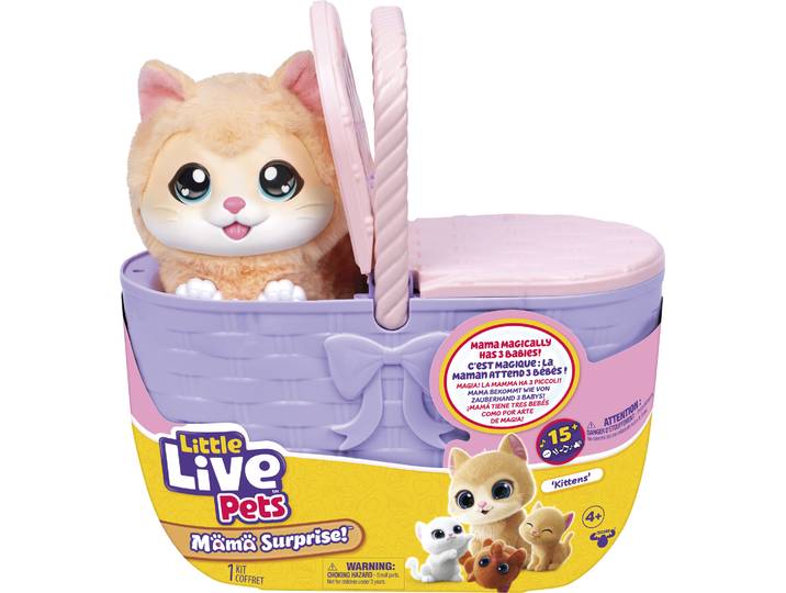 Mama Surprise Katze