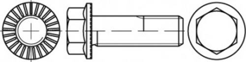 TOOLCRAFT TO-5444469 Sechskantschraube M6 12mm Außensechskant 88913 500St.