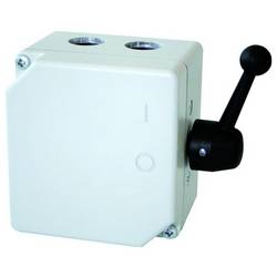 Elektra Tailfingen 46439 Wendeschalter IP65 1 St.