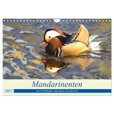 Mandarinenten, ein Farbtupfer auf allen Gewässern. (Wandkalender 2027 DIN A4 quer), CALVENDO Monatskalender