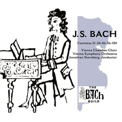 Kantaten BWV 21/34/46/56/104 - Sternberg,Wiener Symphoniker, CD