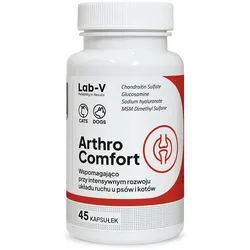 Lab-v Arthro Comfort – Umfassende Unterstützung für Gelenke und Bewegungsapparat bei Hunden und Katzen, 45 Kapseln