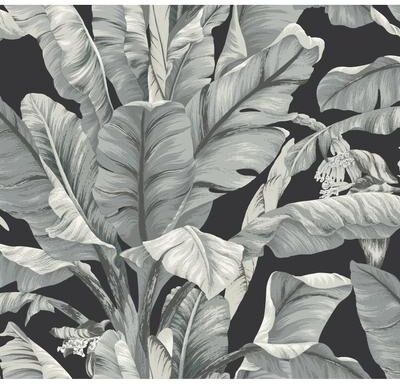 Inspired by Color Banana Leaf Black & White Wallpaper