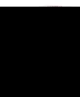 AMMONIUM BROMATUM D 6 Globuli 10 g