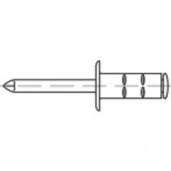 TOOLCRAFT TO-5455227 Offene Blindniete 4.8 mm 500 St.