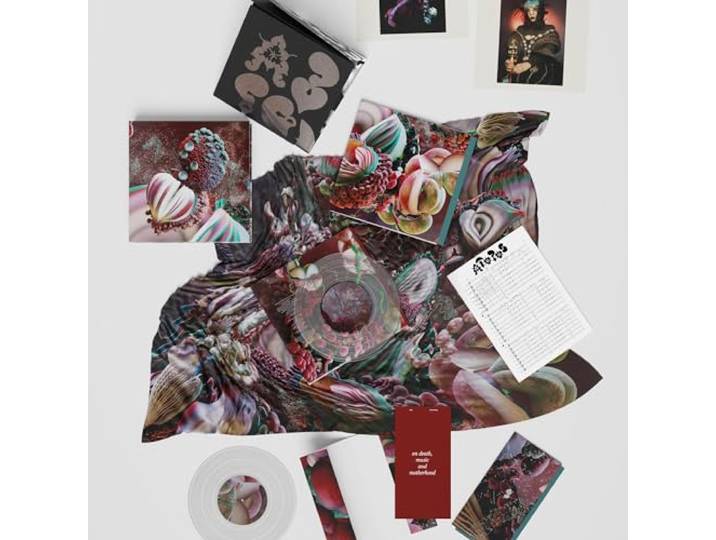 Fossora/Coffret Collector avec 2 Vinyles M45t Cristal/5 Arrangements Inédits/Inclus Poster et Goodies