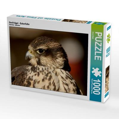 CALVENDO Puzzle Greifvögel - Sakerfalke | 1000 Teile Lege-Größe 64x48cm Foto-Puzzle für glückliche Stunden