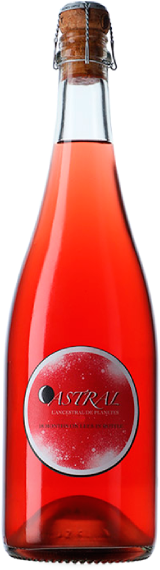 Ester Nin Família Nin Ortiz Astral L'Ancestral de Planetes 2023 - 75cl