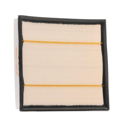 RIDEX Luftfilter BMW 8A0719 13717571355 Motorluftfilter,Filter für Luft