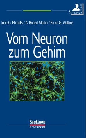 Nicholls, John G. - Vom Neuron zum Gehirn (Studienausgabe): Zum Verständnis der zellulären und molekularen Funktion des Nervensystems - Preis vom 17.10.2026 19:25:27 h