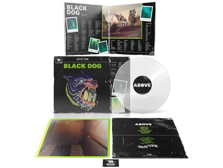 Black Dog