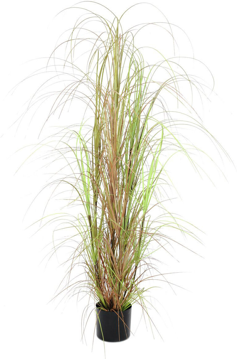 Europalms Grasbusch, 150cm