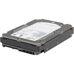 Seagate Cheetah (0.30 TB, 3.5"), Festplatte