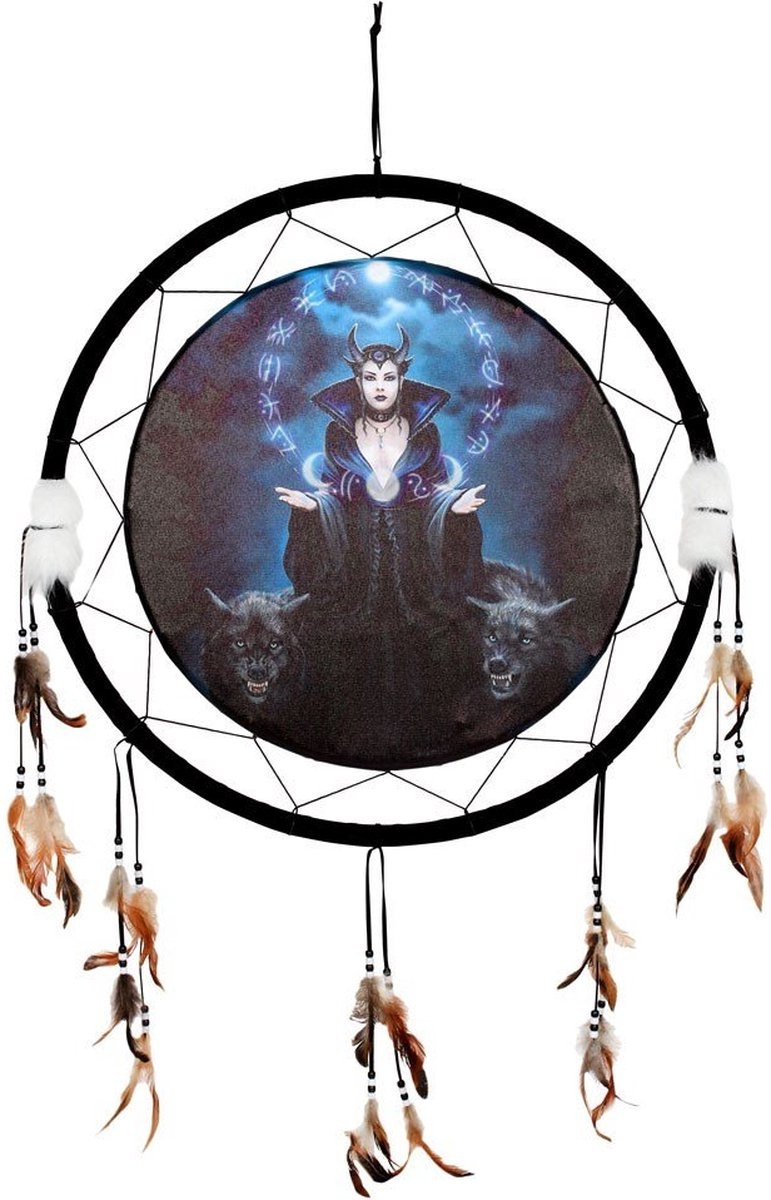 Something Different Dromenvanger Moon Witch door Anne Stokes Multicolour