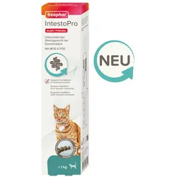 Beaphar IntestoPro Paste für Katzen - Unterstützt das Gleichgewicht der Darmfunktion - 20 ml 20 ml