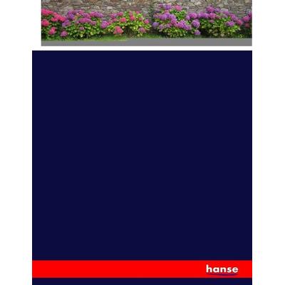 Goethe, sein Leben und seine Werke, Taschenbuch von Albert Bielschowsky, Hansebooks, 978-3-7436-7833-0