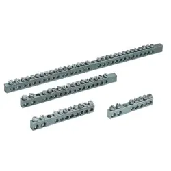 Schneider Electric NSYRBL21656M Erdungsleisten 2x16 + 5x6mm2 - Verpackungsinhalt: 10 Stk.