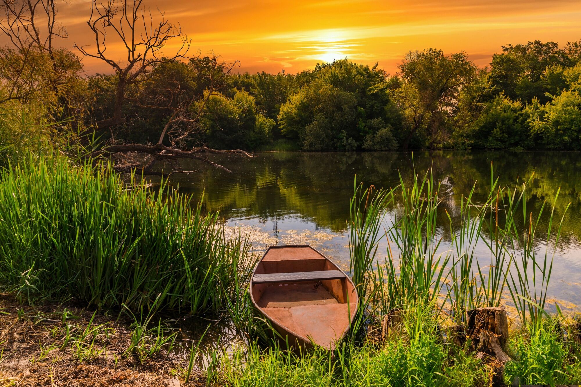 Fototapete PAPERMOON "STRAND-SEE BOOT WALD SONNENUNTERGANG BÄUME FLUSS IDYLLE", bunt, B:3m L:2,23m, Vlies, Tapeten, Fototapete bunt B/L: 3m x 2,23m, Bahnen: 6 Stk.
