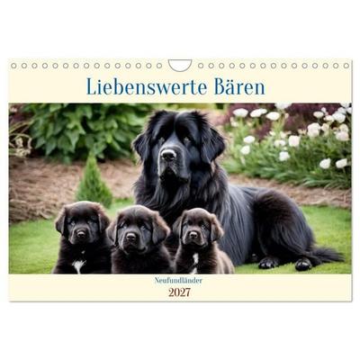 Neufundländer - Liebenswerte Bären (Wandkalender 2027 DIN A4 quer), CALVENDO Monatskalender