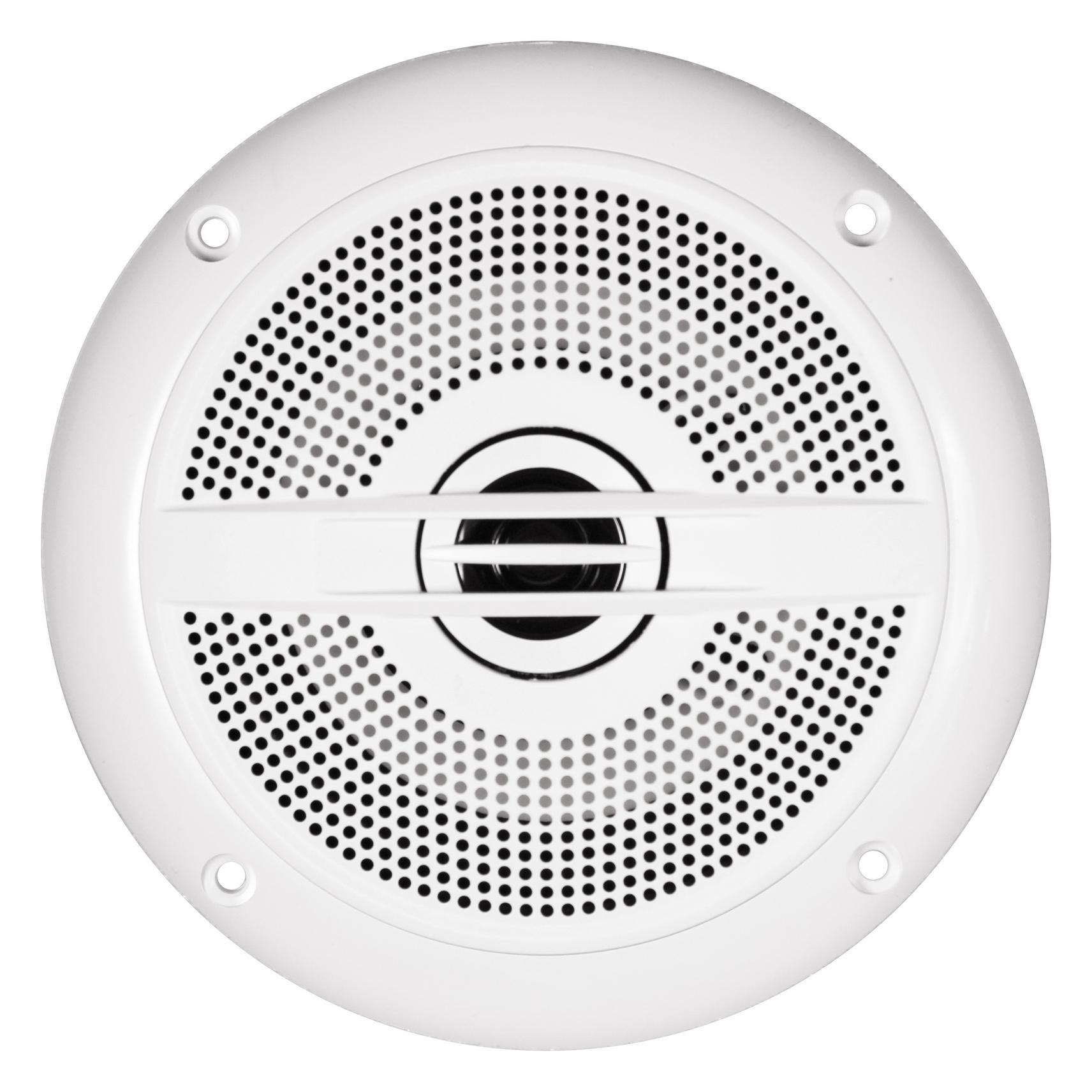 Renegade 13 cm (5.25") Outdoor 2-Wege Koaxial-Lautsprecher (160 W, 13 cm) (RXM52W)