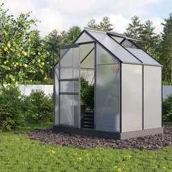 Vitavia Aktionsangebot (inkl. 100 Euro Zubehör): Gewächshaus "Planet 2500" inkl. Fundament,schwarz,2,5 m2