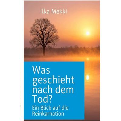 Was geschieht nach dem Tod?, Taschenbuch von Ilka Mekki, Epubli, 978-3-565-04819-9