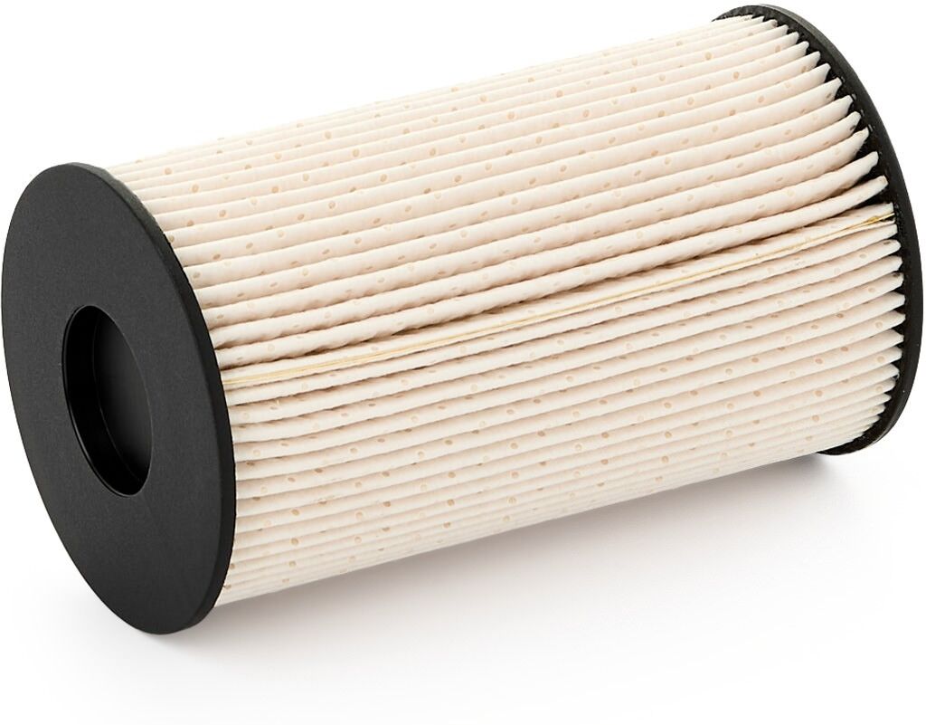 RIDEX 9F0143 Fuel filter