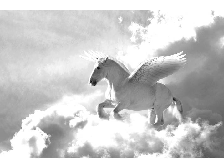 Papermoon Pegasus Schwarz & Weiss