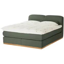 Boxspringbett  Esop , grün , Maße (cm): B: 160 H: 111