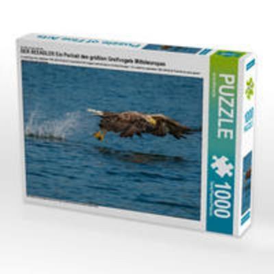 CALVENDO Puzzle DER SEEADLER Ein Portrait des größten Greifvogels Mitteleuropas 1000 Teile Lege-Größe 64 x 48 cm Foto-Puzzle Bild von Arne Wünsche
