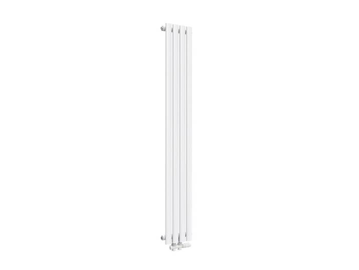 HEIZKÖRPER Doppelrohr vertikal montierbar Weiß 24/160/5,8 cm