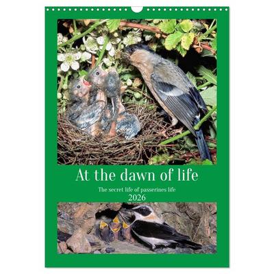 At the dawn of life the secret life of passerines (Wall Calendar 2026 DIN A3 portrait), CALVENDO 12 Month Wall Calendar