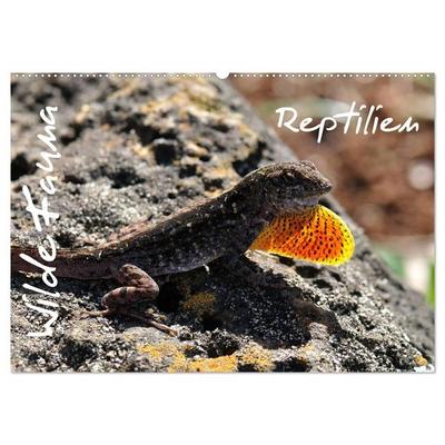 Wilde Fauna - Reptilien (Wandkalender 2027 DIN A2 quer), CALVENDO Monatskalender