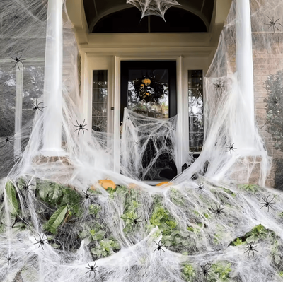 Inspire Curations 200 Sq Ft Halloween Spider Web Decoration With Fake Spiders Stretch Cobweb Set 60g