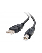 Cables To Go C2G 2m USB Cable A to B M/M USB-Kabel M zu Typ B M 2.0 2 m Schwarz (28102)