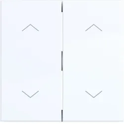 Hager WAW2002WG Wippe 2fach mit Aufdruck Symbol Pfeile, A.x/C.x, lichtweiß glänzend