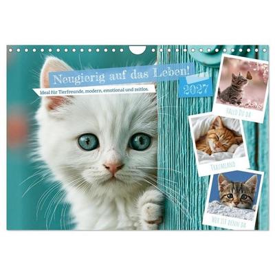 Neugierig auf das Leben! (Wandkalender 2027 DIN A4 quer), CALVENDO Monatskalender