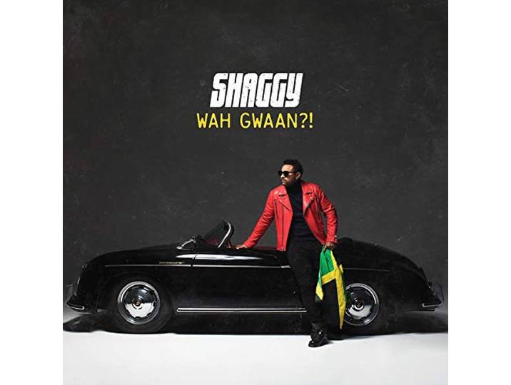 Shaggy - Wah Gwaan?!