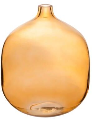 Storied Home Tinted Glass Vase