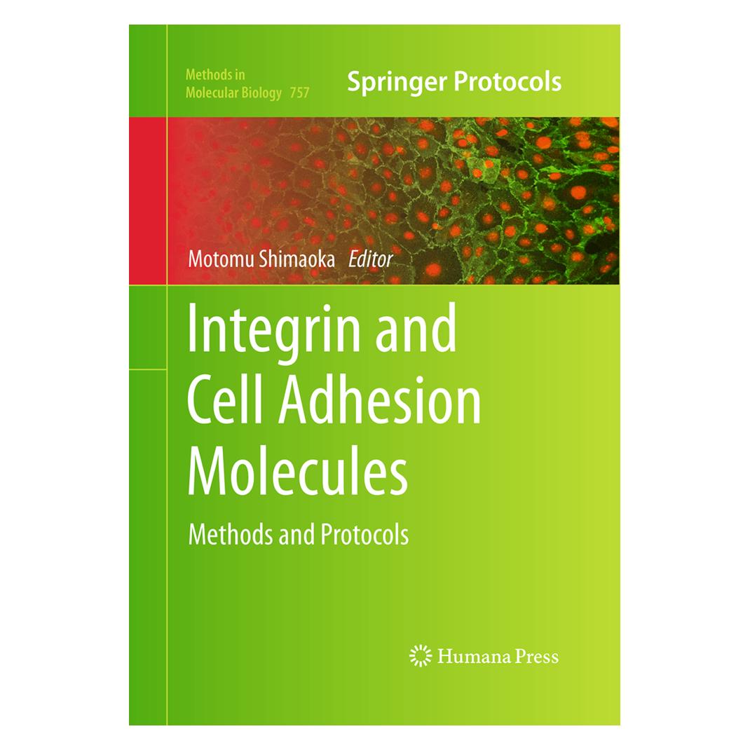 Springer Integrin and Cell Adhesion Molecules (Englisch, Softcover, Motomu Shimaoka) (55965591)
