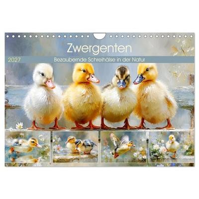 Zwergenten. Bezaubernde Schreihälse in der Natur (Wandkalender 2027 DIN A4 quer), CALVENDO Monatskalender