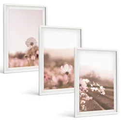 BILDER SET 3er Set - 40x60 cm Weißer Rahmen - Sommerlandschaften mit Wildblumenwiesen