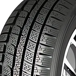 SV-55 225/55 R19 99V  Winterreifen